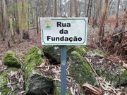 Terreno Rstico - Monte Crdova, Santo Tirso, Porto - Miniatura: 4/9