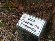 Terreno Rstico - Monte Crdova, Santo Tirso, Porto - Miniatura: 5/9