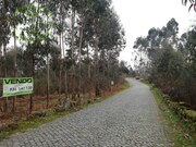 Terreno Rstico - Monte Crdova, Santo Tirso, Porto - Miniatura: 7/9