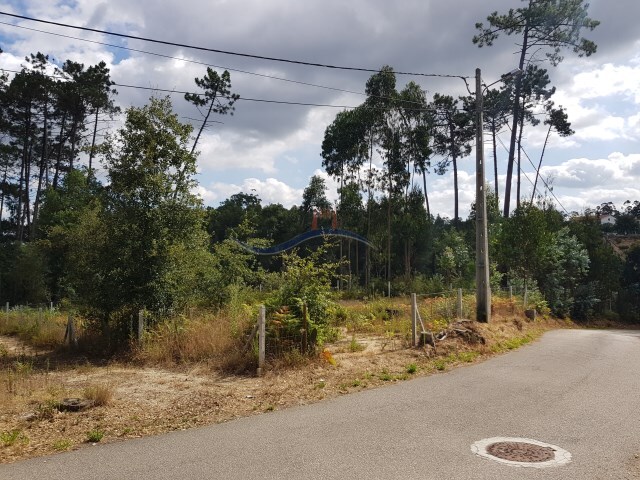 Terreno Rstico - Souto da Carpalhosa, Leiria, Leiria - Imagem grande