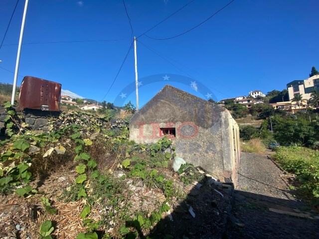 Terreno Rstico - So Roque, Funchal, Ilha da Madeira - Imagem grande
