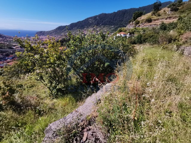 Terreno Rstico - Machico, Machico, Ilha da Madeira - Imagem grande