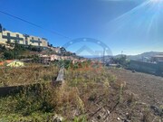 Terreno Rstico - So Roque, Funchal, Ilha da Madeira - Miniatura: 2/8