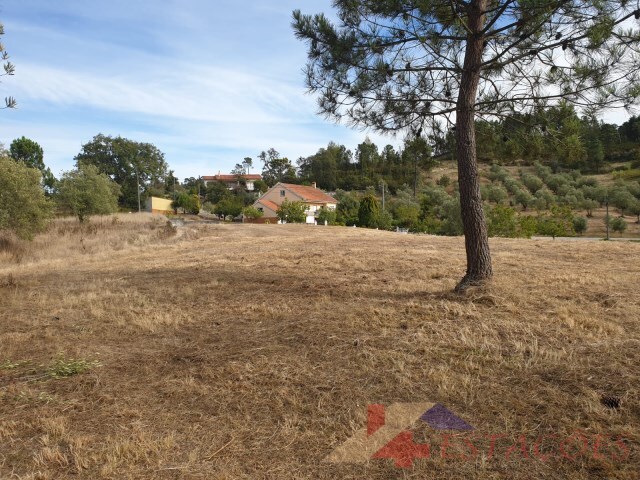 Terreno Rstico - Santiago de Litm, Pombal, Leiria - Imagem grande