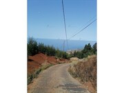 Terreno Rstico - Ribeira Brava, Ribeira Brava, Ilha da Madeira - Miniatura: 3/6
