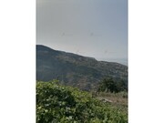 Terreno Rstico - Ribeira Brava, Ribeira Brava, Ilha da Madeira - Miniatura: 6/6
