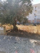 Moradia T3 - Algoz, Silves, Faro (Algarve) - Miniatura: 18/20
