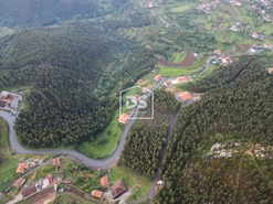 Terreno Rstico T0 - Raiva, Castelo de Paiva, Aveiro - Miniatura: 3/11