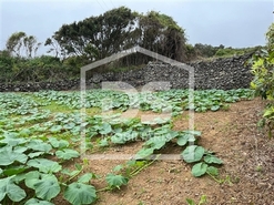 Terreno Urbano T0 - Feteira, Angra do Heroismo, Ilha Terceira - Miniatura: 2/3