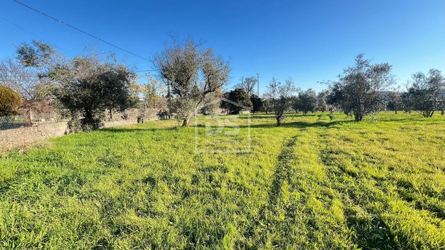 Terreno Rstico T0 - Fal e Vila Ch de S, Fundo, Castelo Branco - Imagem grande