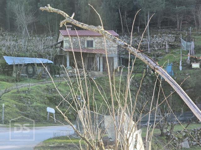 Terreno Rstico T0 - Castelo, Moimenta da Beira, Viseu - Imagem grande