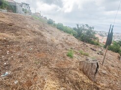 Terreno Rstico - So Roque, Funchal, Ilha da Madeira