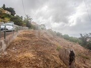 Terreno Rstico - So Roque, Funchal, Ilha da Madeira - Miniatura: 2/5