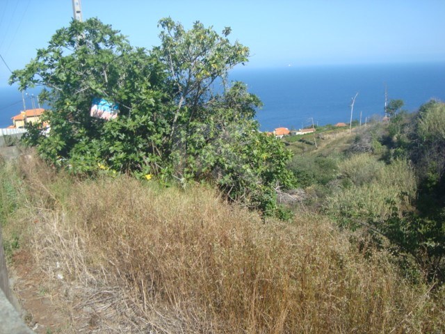 Terreno Rstico - Gaula, Santa Cruz, Ilha da Madeira - Imagem grande