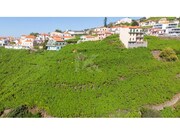 Terreno Rstico - Estreito Cmara de Lobos, Cmara de Lobos, Ilha da Madeira - Miniatura: 6/8