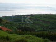 Terreno Rstico - So Martinho, Funchal, Ilha da Madeira - Miniatura: 3/4