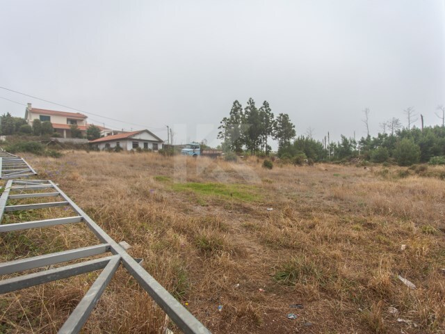 Terreno Rstico - Camacha, Santa Cruz, Ilha da Madeira - Imagem grande