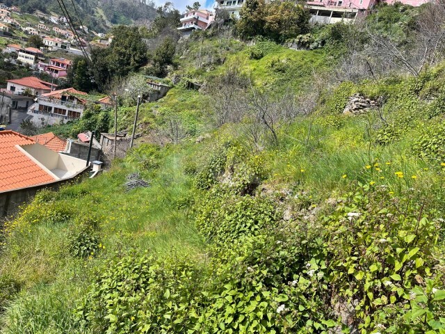 Terreno Rstico - Estreito Cmara de Lobos, Cmara de Lobos, Ilha da Madeira - Imagem grande