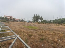 Terreno Rstico - Camacha, Santa Cruz, Ilha da Madeira