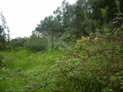 Terreno Rstico - So Gonalo, Funchal, Ilha da Madeira