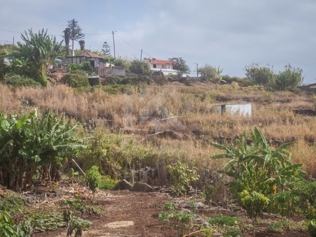 Terreno Rstico - Canio, Santa Cruz, Ilha da Madeira - Imagem grande