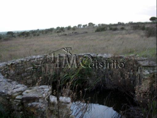 Terreno Rstico T0 - Esprito Santo, Nisa, Portalegre - Imagem grande