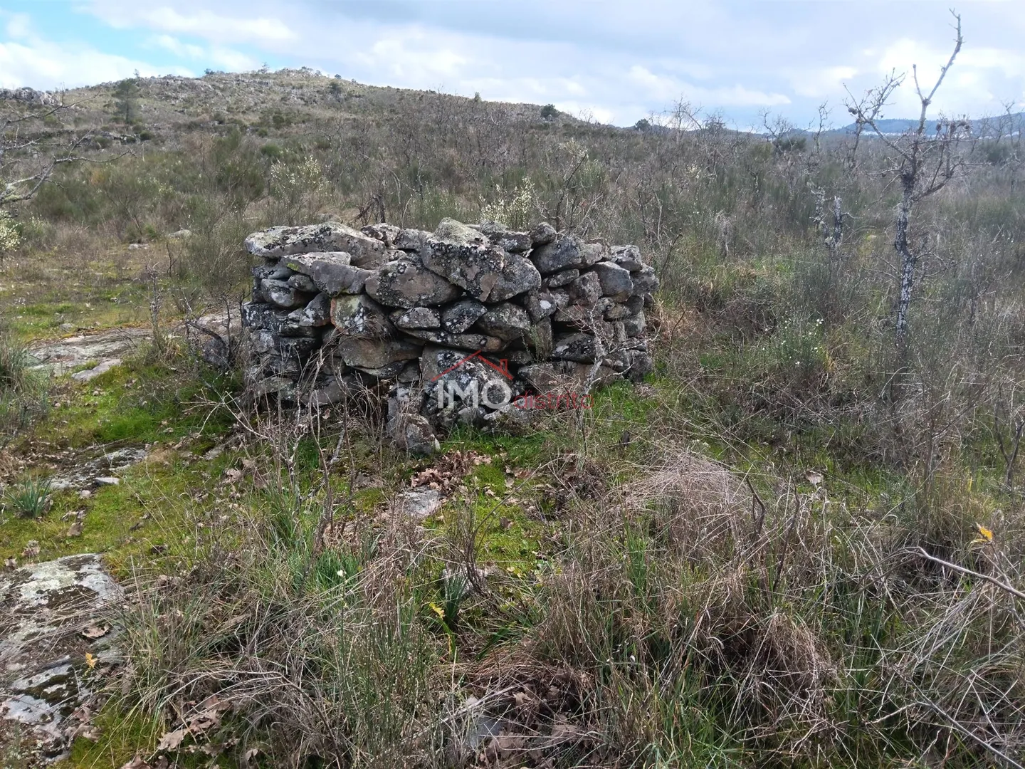 Terreno Rstico T0 - Santa Maria da Devesa, Castelo de Vide, Portalegre - Miniatura: 9/9