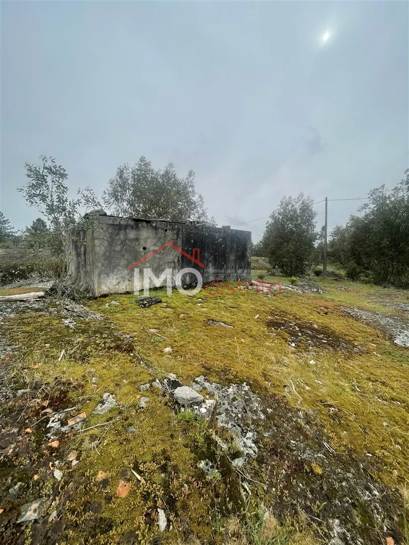 Terreno Rstico T0 - Santa Maria da Devesa, Castelo de Vide, Portalegre - Miniatura: 3/9