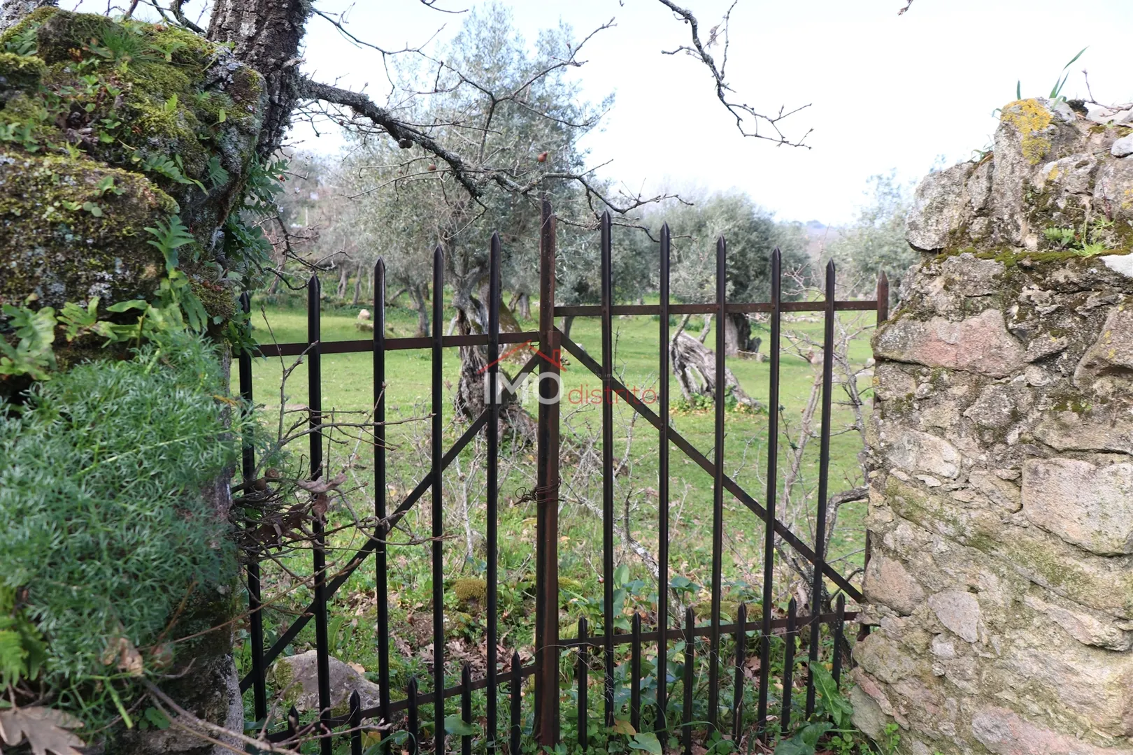 Terreno Rstico T0 - Santa Maria da Devesa, Castelo de Vide, Portalegre - Miniatura: 7/9