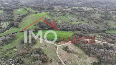 Terreno Rstico T0 - Santa Maria da Devesa, Castelo de Vide, Portalegre - Imagem grande