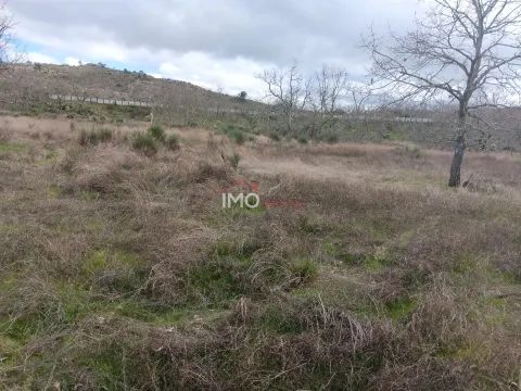 Terreno Rstico T0 - Santa Maria da Devesa, Castelo de Vide, Portalegre - Miniatura: 4/9