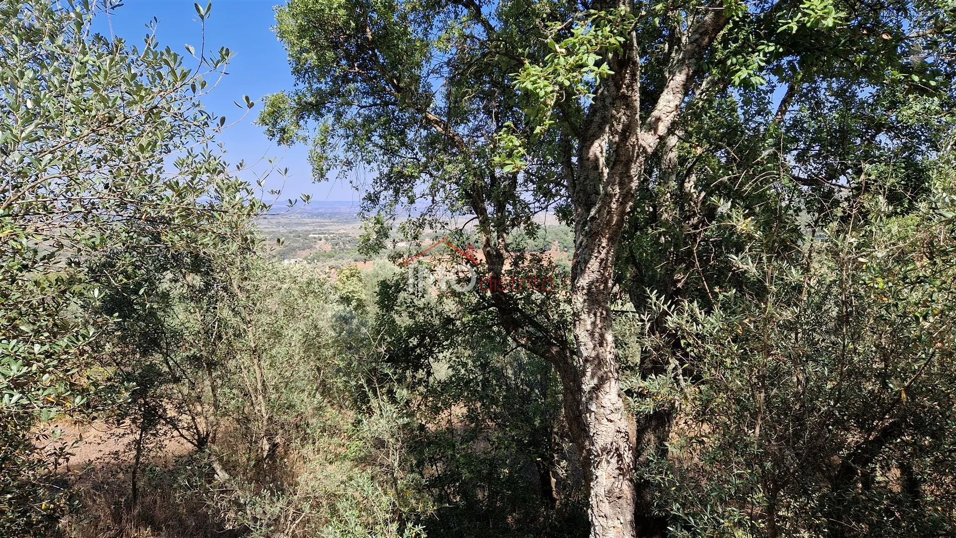 Terreno Urbano T0 - Santa Maria da Devesa, Castelo de Vide, Portalegre - Miniatura: 6/9