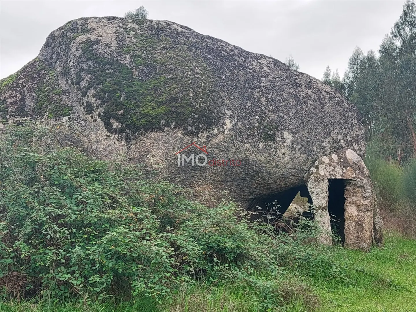 Terreno Rstico T0 - Tolosa, Nisa, Portalegre - Imagem grande