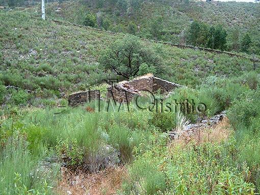 Terreno Rstico T0 - Reguengo, Portalegre, Portalegre - Imagem grande