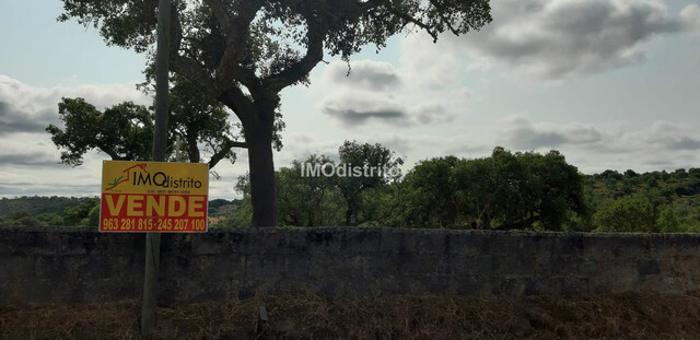 Terreno Rstico T0 - Esprito Santo, Nisa, Portalegre - Imagem grande