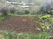 Terreno Rstico T0 - Santiago Maior, Castelo de Vide, Portalegre - Miniatura: 6/9