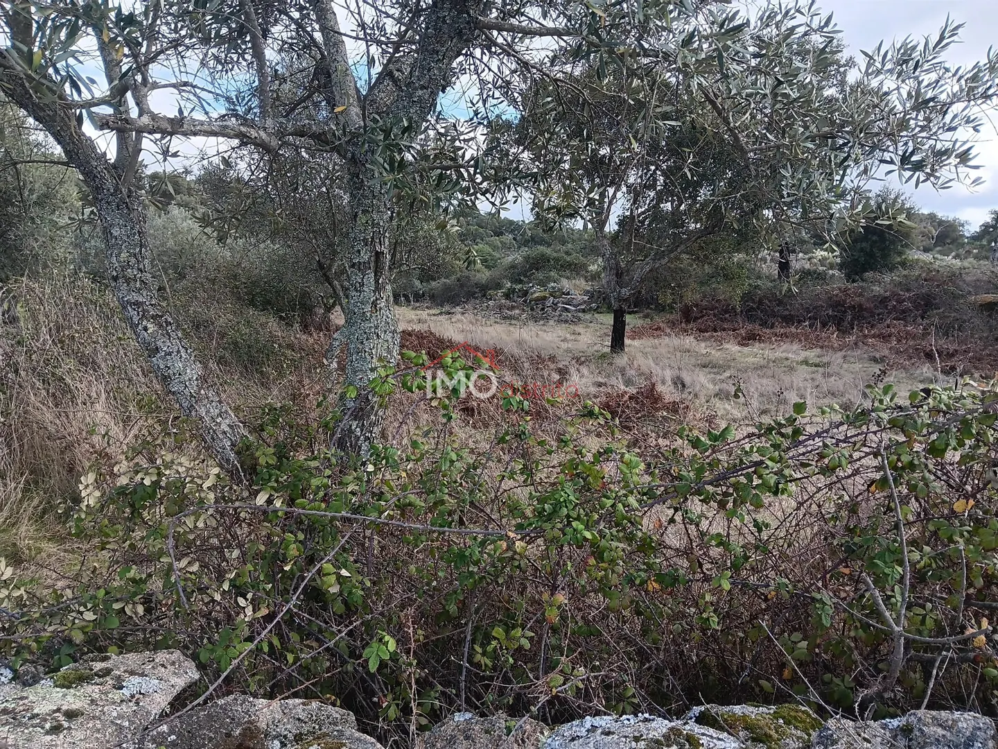 Terreno Rstico T0 - Santo Antnio das Areias, Marvo, Portalegre - Miniatura: 2/9