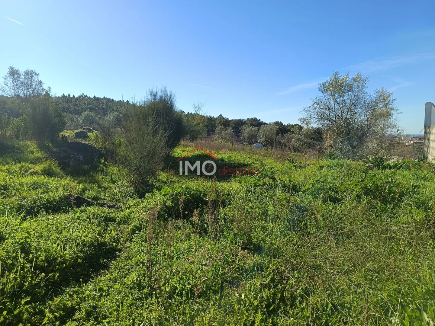 Terreno Urbano T0 - Fortios, Portalegre, Portalegre - Imagem grande