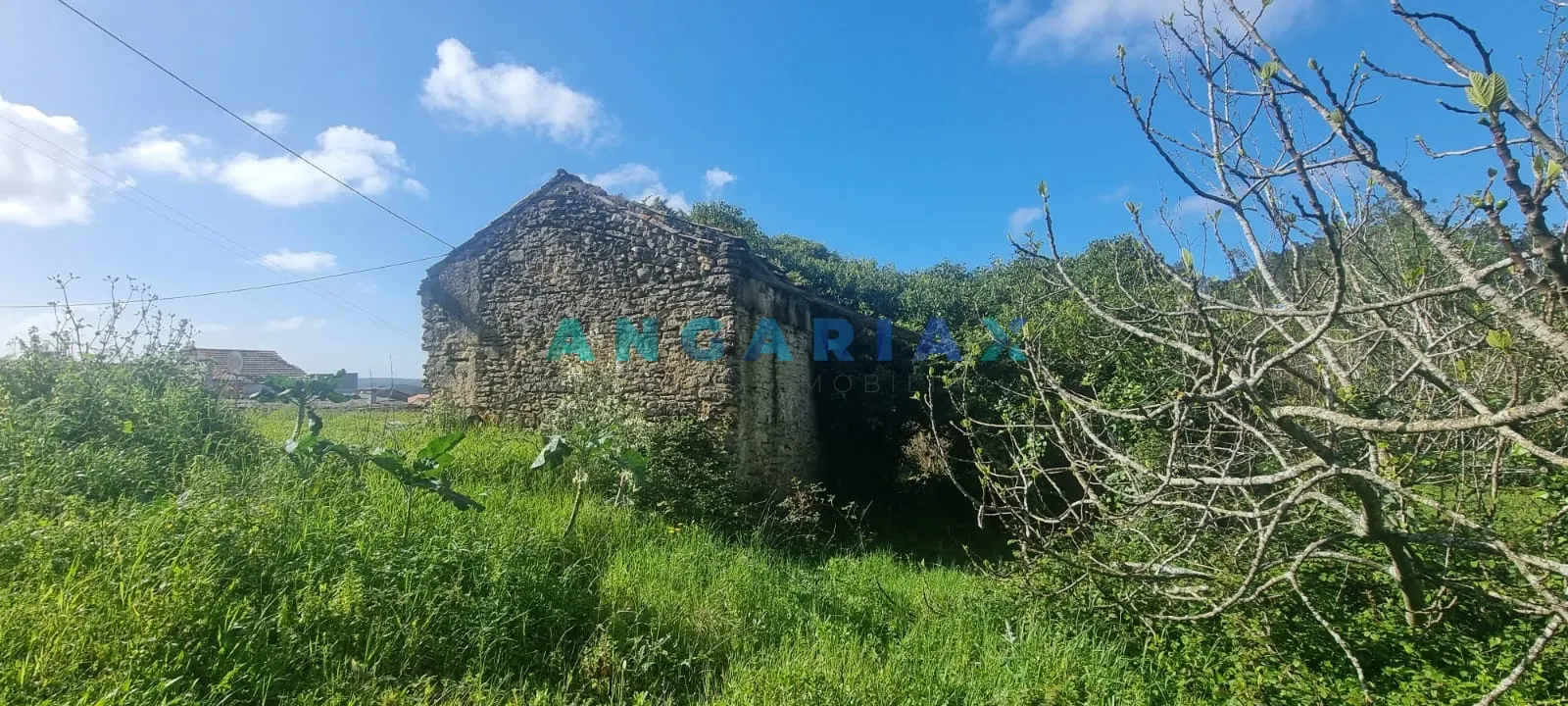 Terreno Urbano T0 - Souto da Carpalhosa, Leiria, Leiria - Miniatura: 9/9