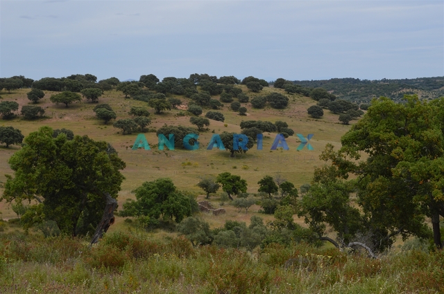 Terreno Urbano T0 - Rosmaninhal, Idanha-a-Nova, Castelo Branco - Imagem grande