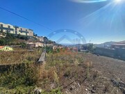 Terreno Rstico - So Roque, Funchal, Ilha da Madeira - Miniatura: 5/8