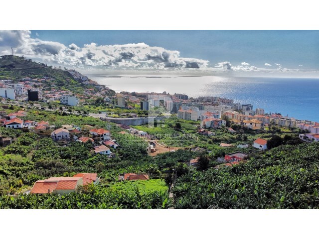 Terreno Rstico - So Martinho, Funchal, Ilha da Madeira - Imagem grande