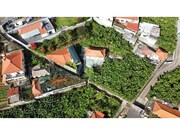 Terreno Rstico - So Martinho, Funchal, Ilha da Madeira - Miniatura: 4/5