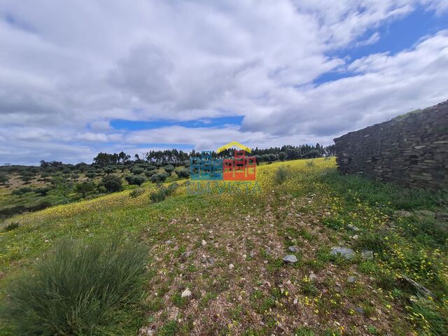 Terreno Rstico - Toules, Idanha-a-Nova, Castelo Branco - Imagem grande