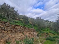 Terreno Rstico - Toules, Idanha-a-Nova, Castelo Branco