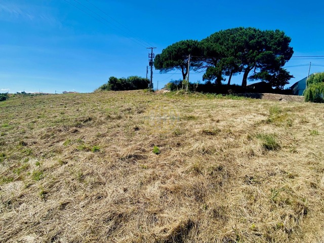 Terreno Rstico T0 - Carvalhal Benfeito, Caldas da Rainha, Leiria - Imagem grande