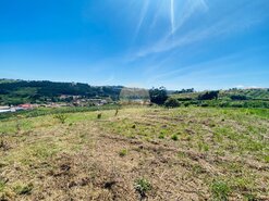 Terreno Rstico T0 - Carvalhal Benfeito, Caldas da Rainha, Leiria - Miniatura: 6/9