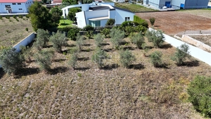 Terreno Urbano T0 - Maceira, Leiria, Leiria - Miniatura: 14/17