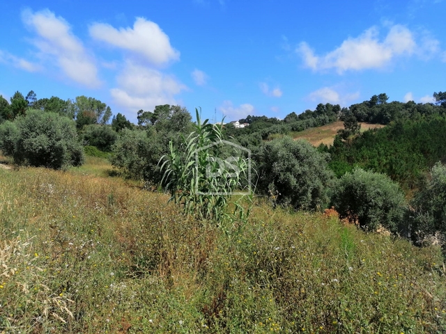 Terreno Urbano T0 - Santa Eufmia, Leiria, Leiria - Imagem grande