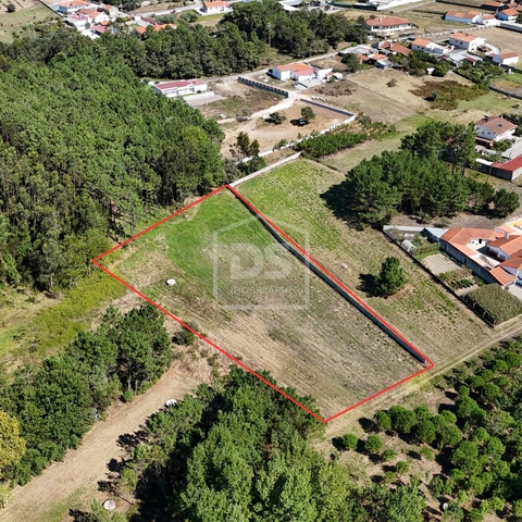 Terreno Rstico T0 - Maceira, Leiria, Leiria - Imagem grande